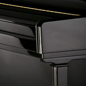 C. BECHSTEIN 124